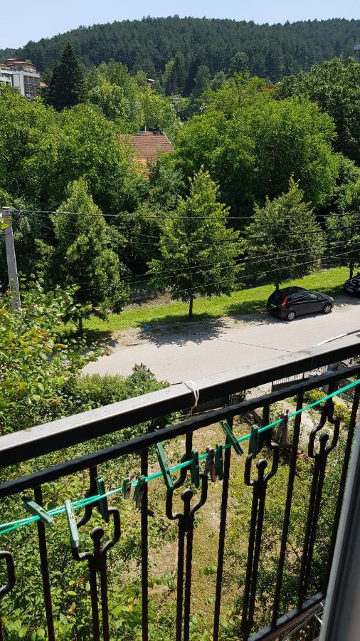 Apartmani V&F Vrnjačka Banja Eksteriør billede