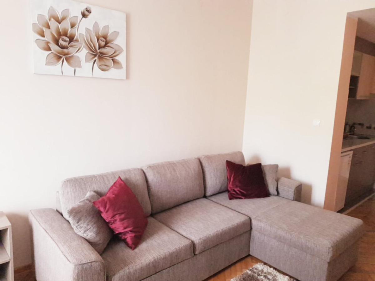 Apartmani V&F Vrnjačka Banja Eksteriør billede