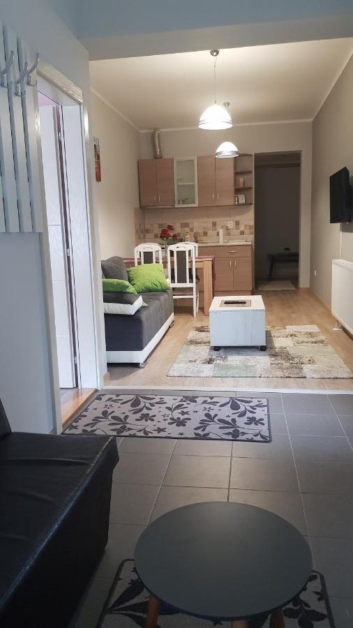 Apartmani V&F Vrnjačka Banja Eksteriør billede