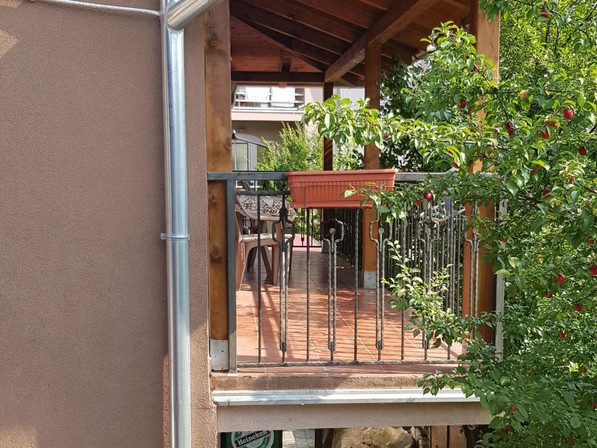 Apartmani V&F Vrnjačka Banja Eksteriør billede