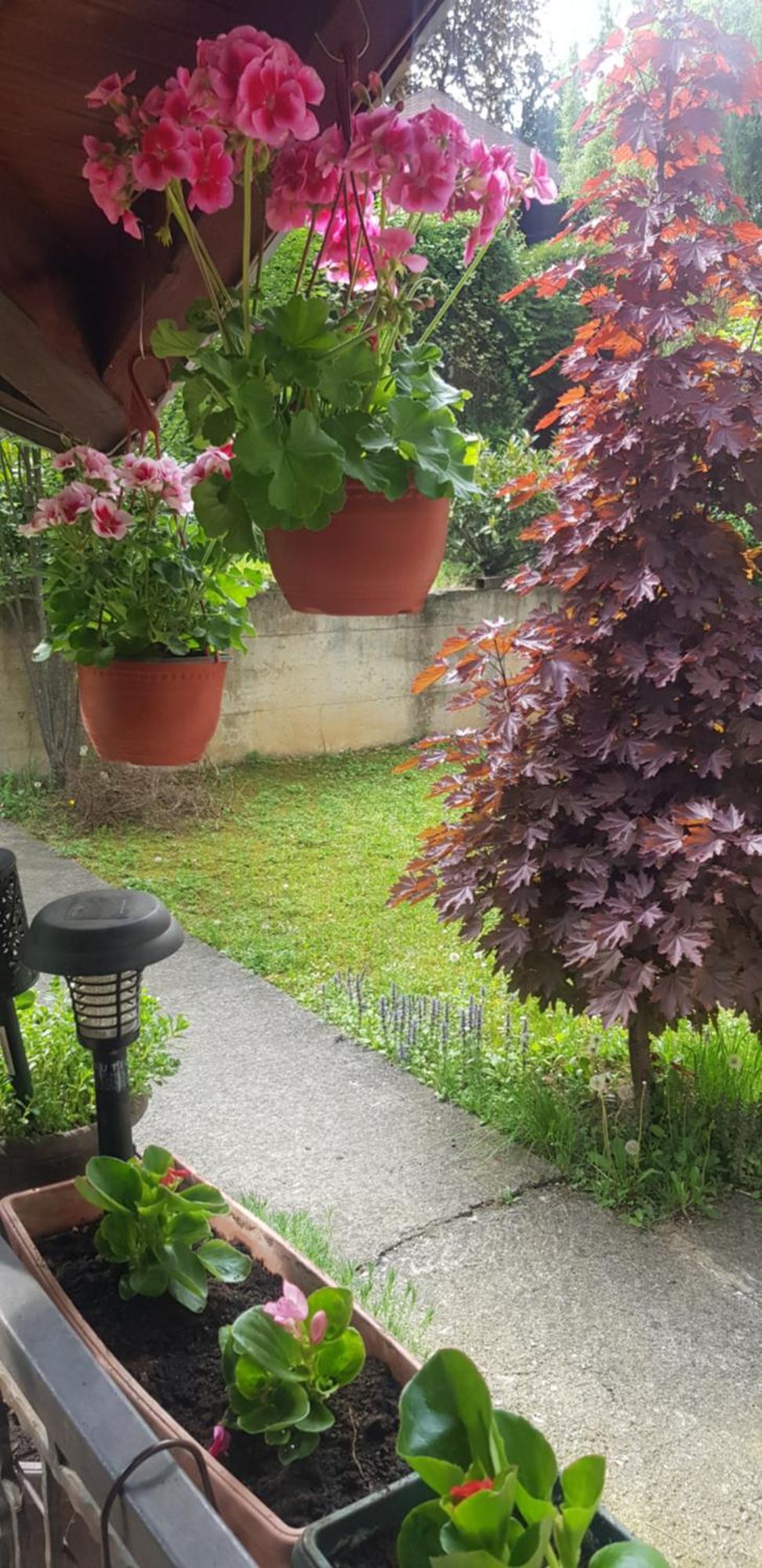 Apartmani V&F Vrnjačka Banja Eksteriør billede