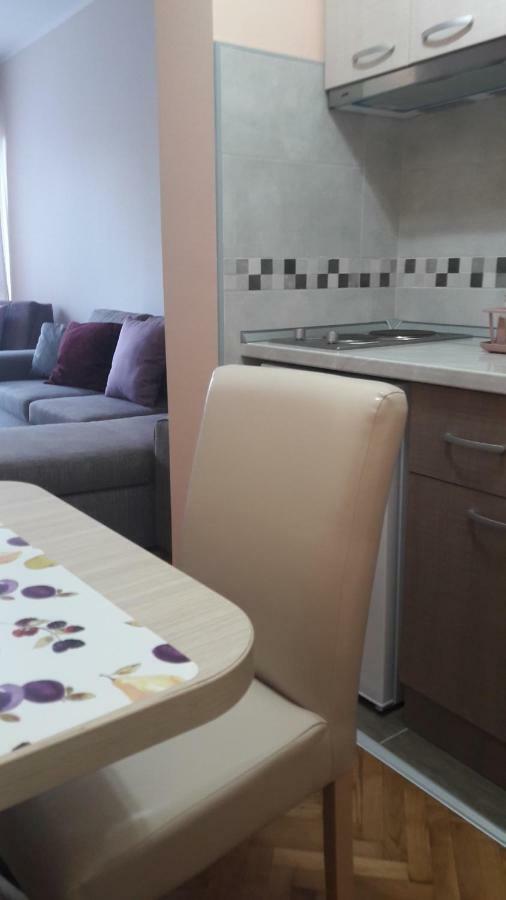 Apartmani V&F Vrnjačka Banja Eksteriør billede